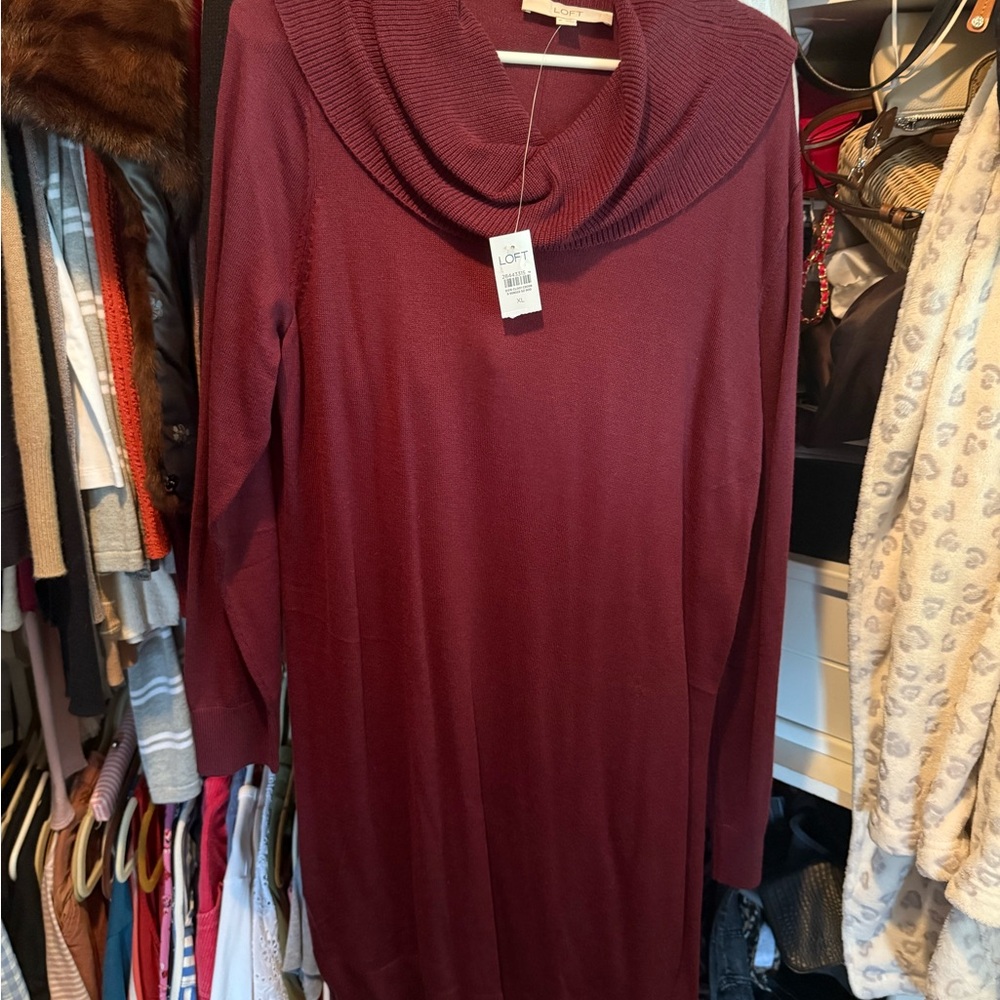 LOFT Maroon Knit Dress